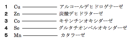 解説画像